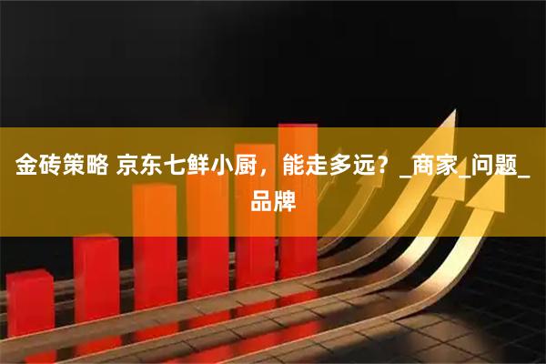 金砖策略 京东七鲜小厨，能走多远？_商家_问题_品牌