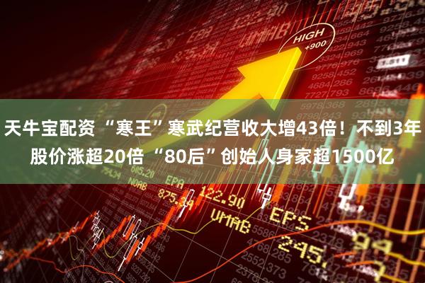 天牛宝配资 “寒王”寒武纪营收大增43倍！不到3年股价涨超20倍 “80后”创始人身家超1500亿