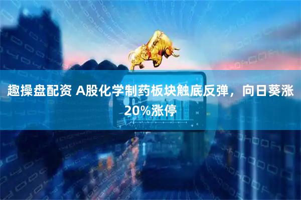 趣操盘配资 A股化学制药板块触底反弹，向日葵涨20%涨停