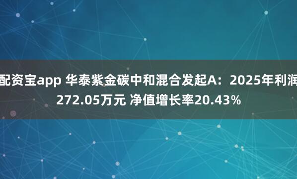 配资宝app 华泰紫金碳中和混合发起A:2025年利润272.05万元 净值增长率20.43%