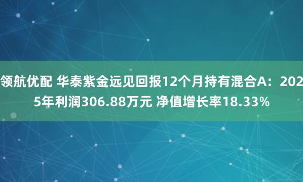 领航优配 华泰紫金远见回报12个月持有混合A：2025年利润306.88万元 净值增长率18.33%